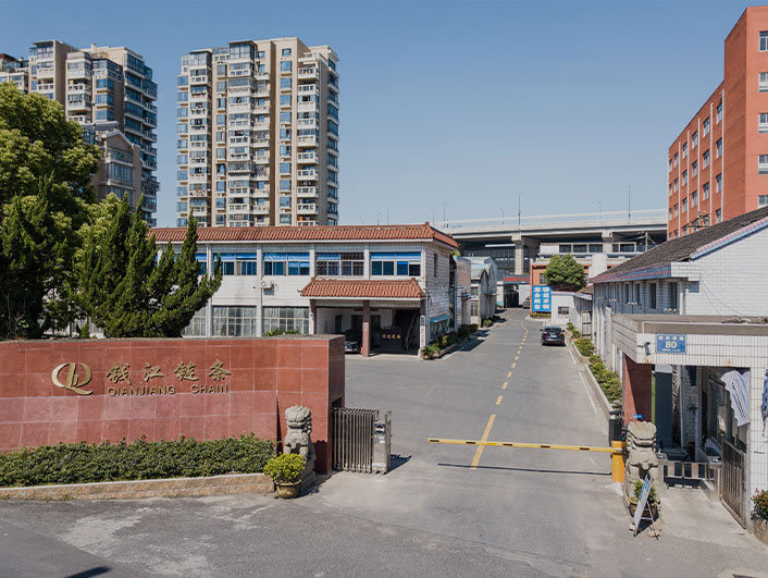 Hangzhou Qianjiang চেইন ইন্ডাস্ট্রিজ কোং, লি.