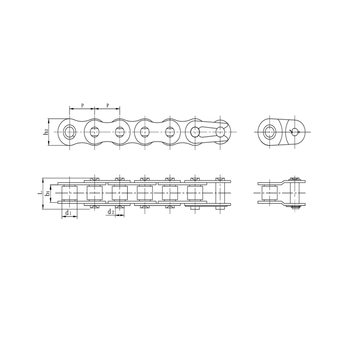 স্টেইনলেস স্টীল সংক্ষিপ্ত পিচ নির্ভুল রোলার চেইন