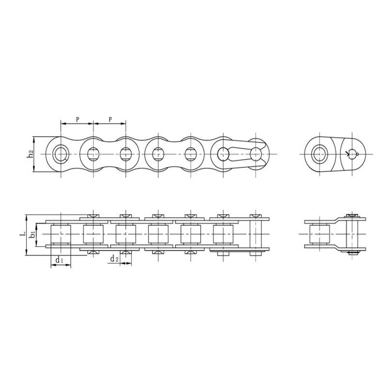 স্টেইনলেস স্টীল সংক্ষিপ্ত পিচ নির্ভুল রোলার চেইন
