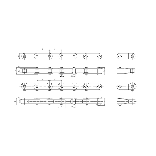 স্টেইনলেস স্টীল ডবল পিচ পরিবাহক চেইন