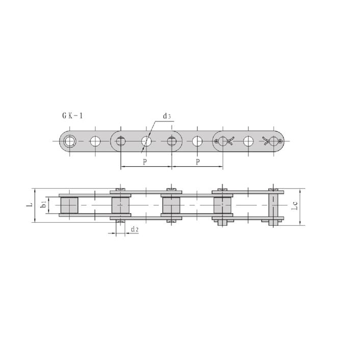 কেন্দ্রীয় গর্ত সহ ডবল পিচ পরিবাহক চেইন