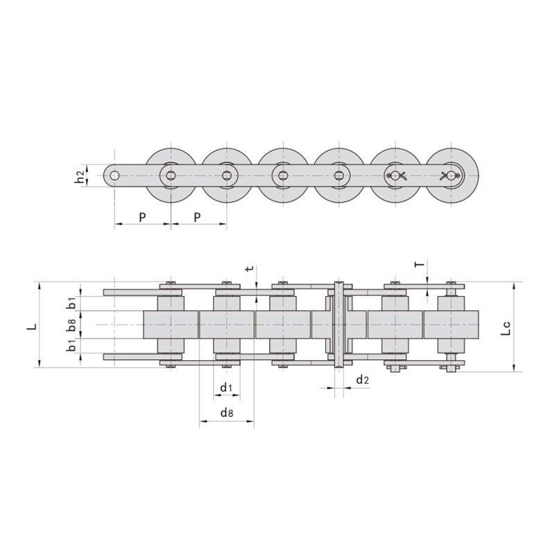 ডাবল প্লাস চেইন