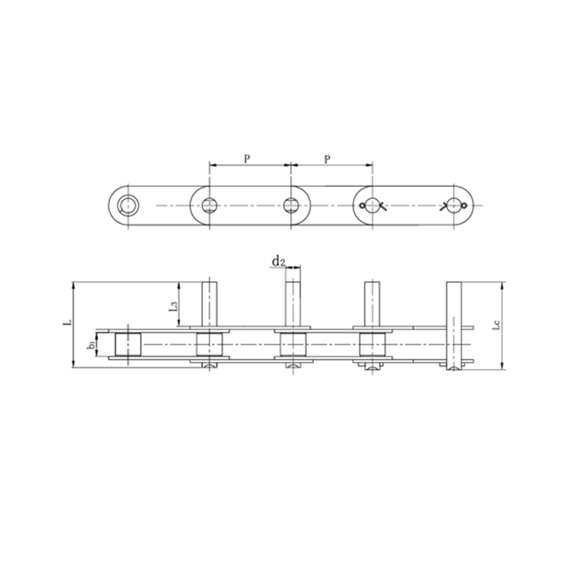 বর্ধিত পিন সহ ডাবল পিচ পরিবাহক চেইন
