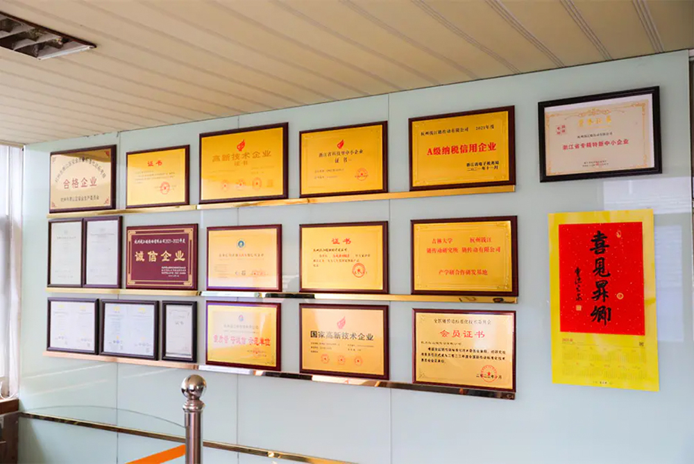 Hangzhou Qianjiang চেইন ইন্ডাস্ট্রিজ কোং, লি.
