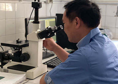 Hangzhou Qianjiang চেইন ইন্ডাস্ট্রিজ কোং, লি.